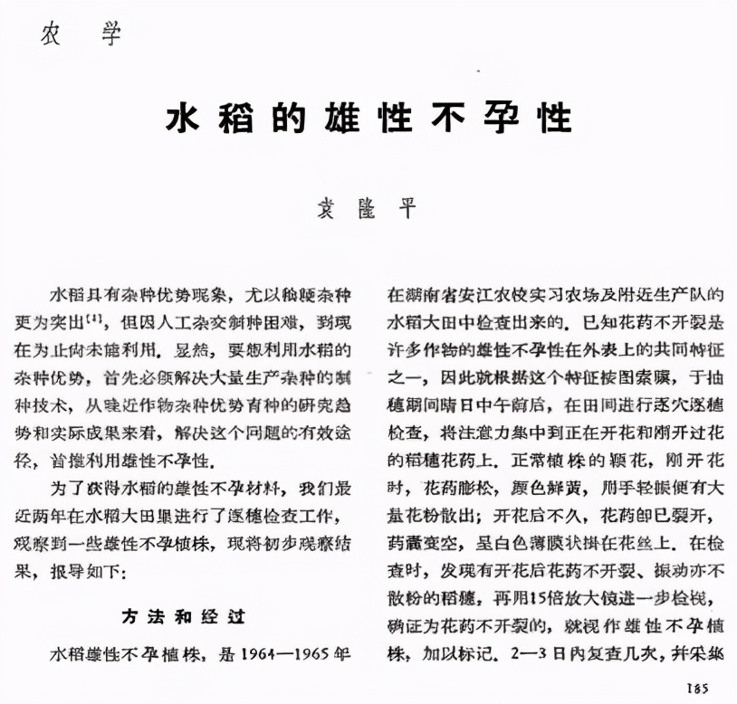 杂交水稻|都在缅怀袁隆平先生，可你知道他为让我们吃饱饭，都做了什么吗？