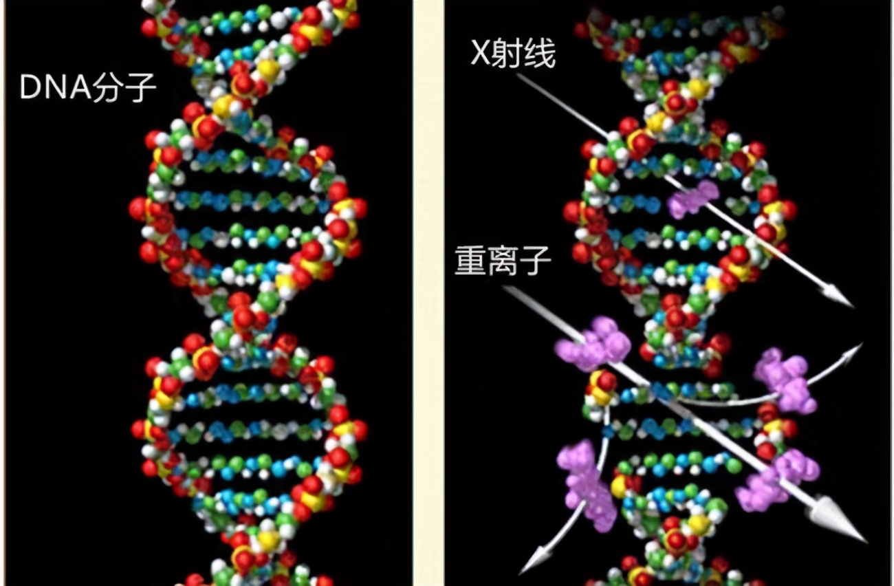 福岛核电站|故意为之？日本福岛核电站储水罐发生泄漏，却坚称对环境没有污染
