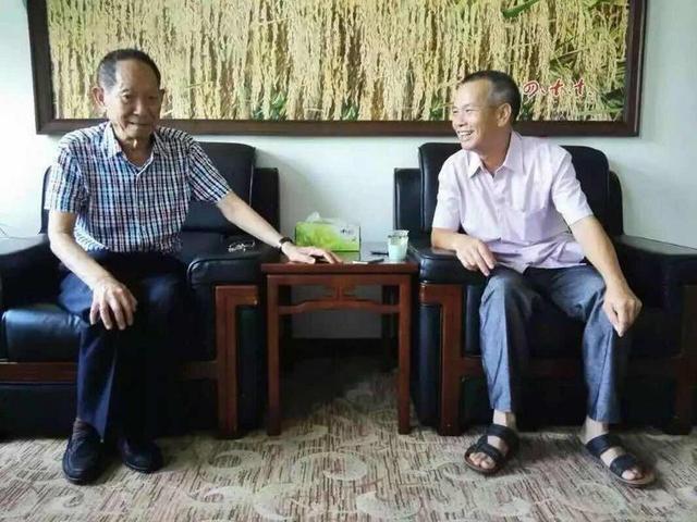 广东海水稻专家陈日胜忆袁隆平:"没有他的推动,中国海水稻研究可能要