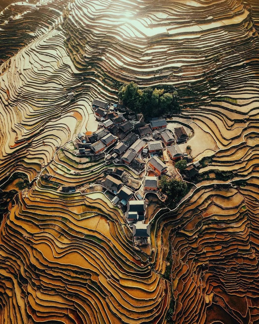 中国最大的梯田图片
