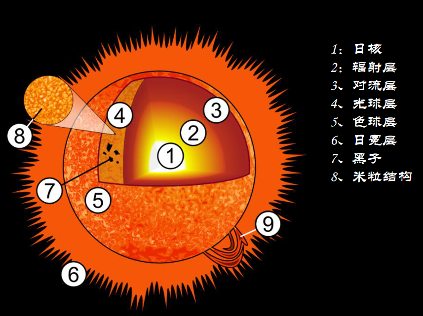 图3.太阳结构（图源：Wikipedia）