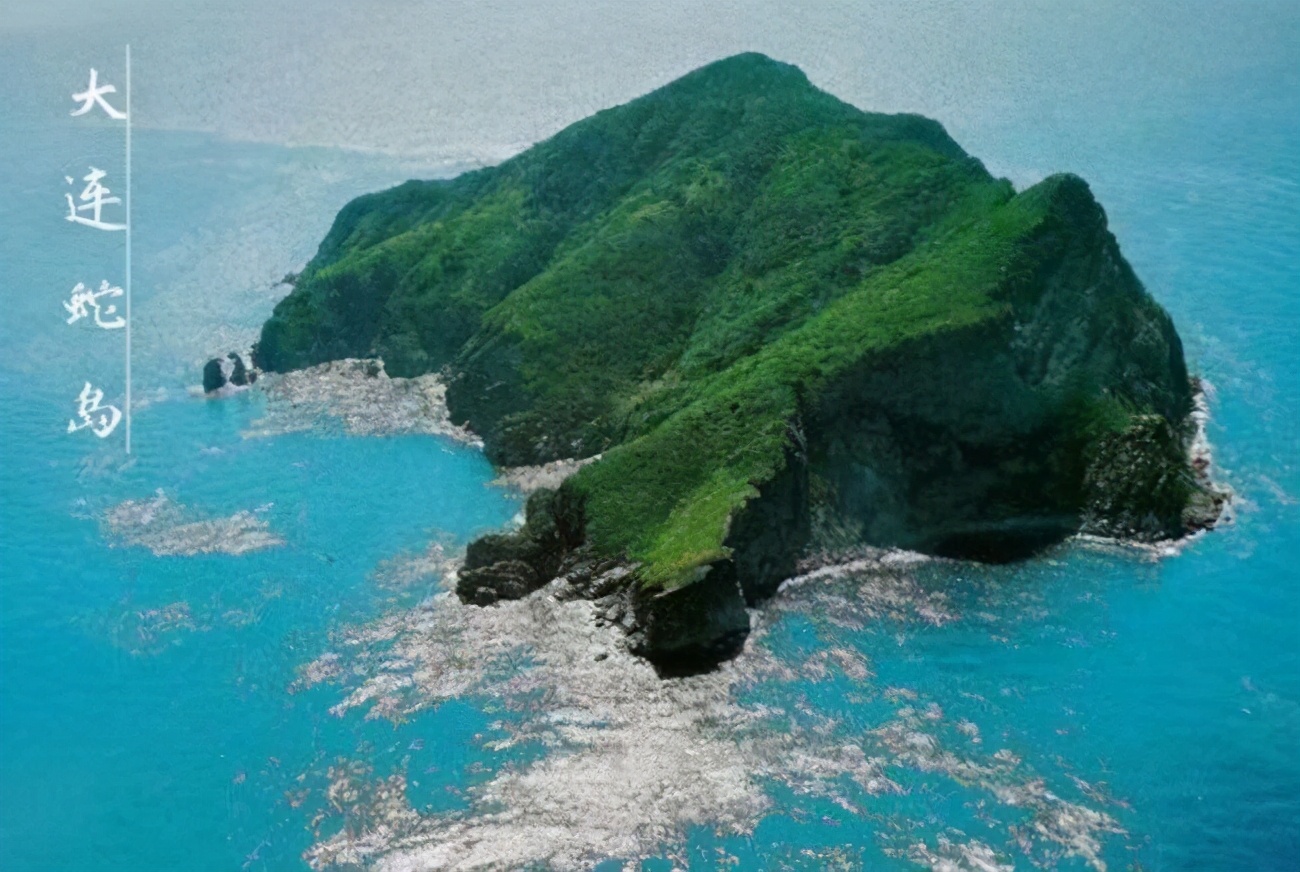 蜜獾|巴西蛇岛4000条毒蛇，毒性是近亲的5倍，能抵抗2只蜜獾的攻击吗?