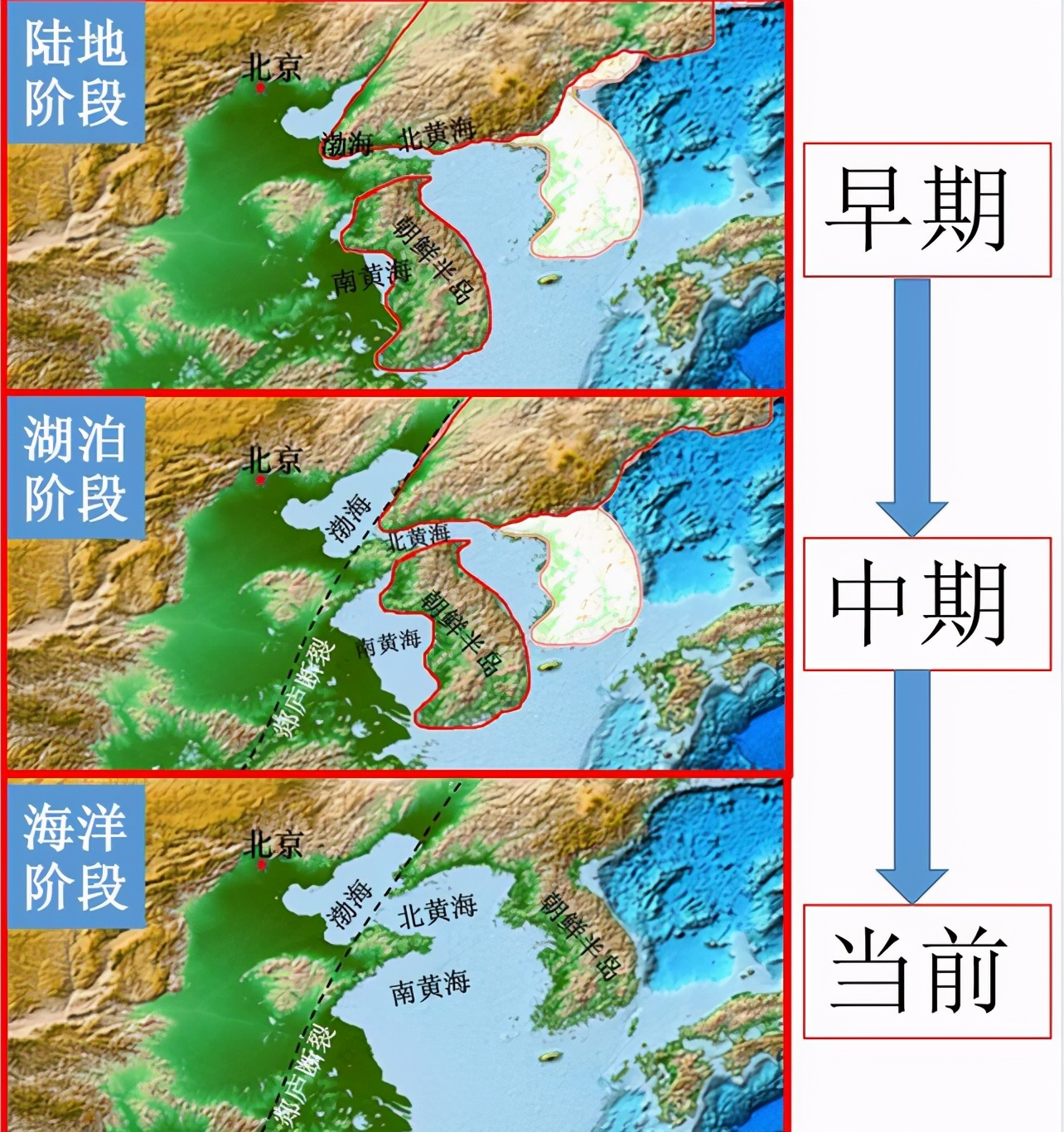 蜜獾|巴西蛇岛4000条毒蛇，毒性是近亲的5倍，能抵抗2只蜜獾的攻击吗?