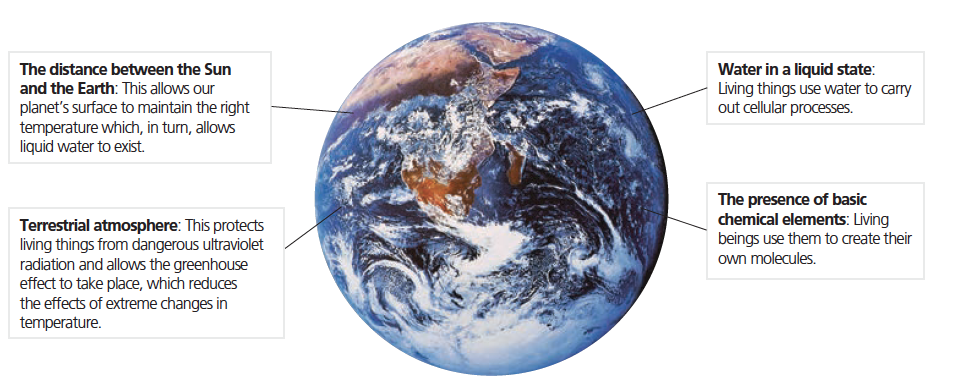 海洋行星|美丽的地球，生机勃勃的世界，你真的了解它吗？