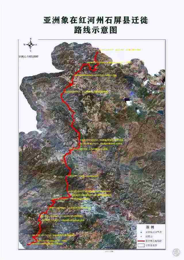 大象|大象本能觉醒？15头大象仍在向北，新推测：或因地磁暴致本能觉醒