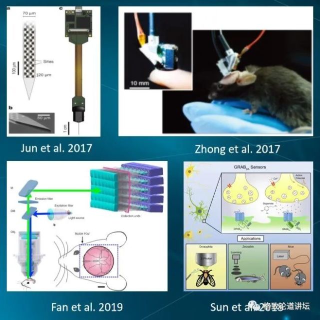 脑科学|通过这种手段，我们竟然能够调控神经细胞的活动