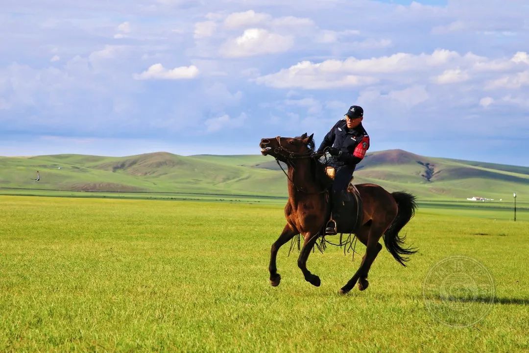 舒展前进骑着战马归家陪伴漫时光马背拾物立马控马静待光阴较量黄昏
