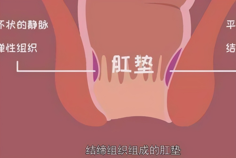 屁眼|人死后，为什么要将死者的肛门堵住？这样做有什么用？