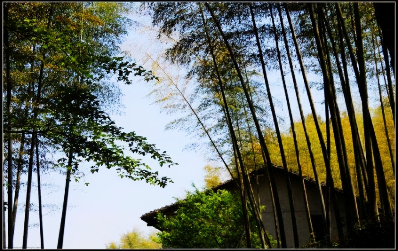 探村浙江龙泉金村古村这里是古代青瓷海上丝绸之路起点