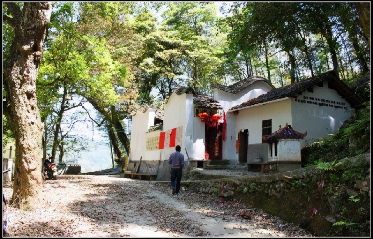 探村浙江龙泉金村古村这里是古代青瓷海上丝绸之路起点