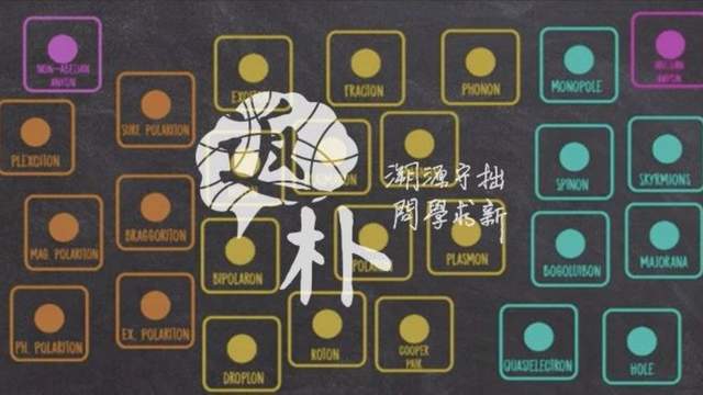 黑洞计算机|它是粒子？不是粒子？哦，是准粒子