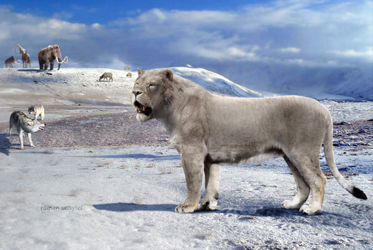 1700万年前的猫犬大战猫科入侵北美导致犬科一家族团灭