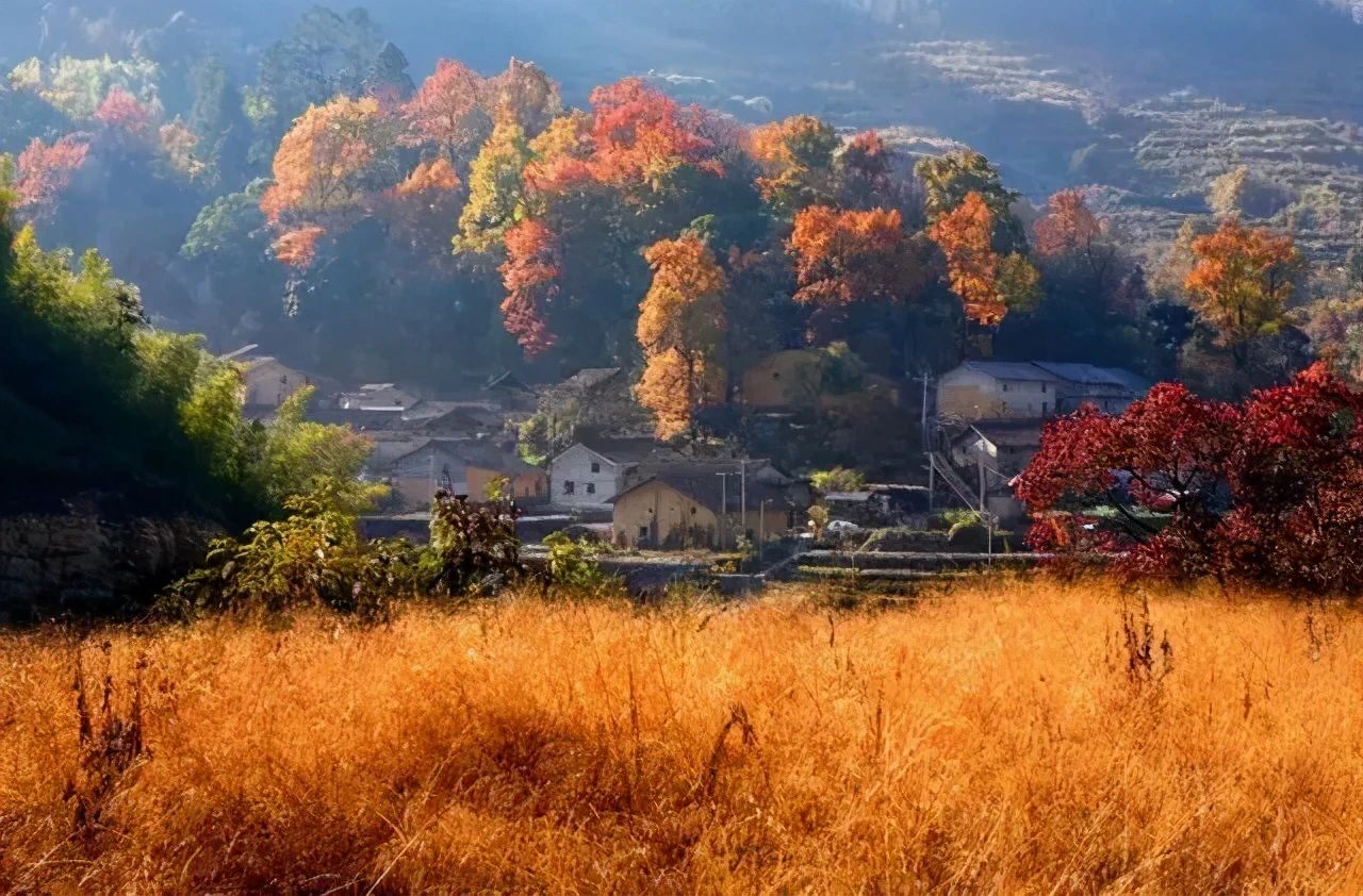 浙江乡村美景图片