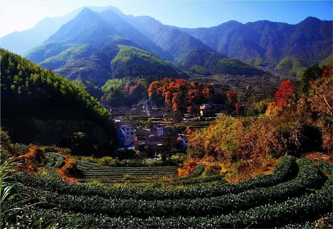 探村浙江龙泉官浦垟村凤阳山脚一道最美的风景