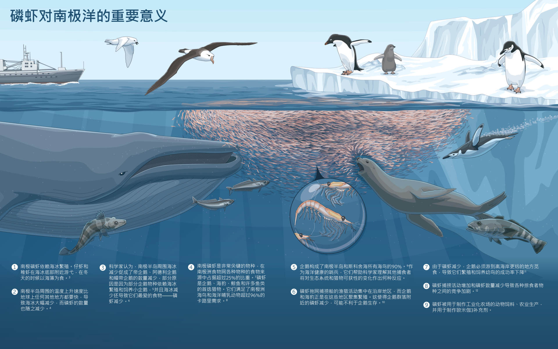 科学|近100万物种面临灭绝，第6次生物大灭绝或已发生