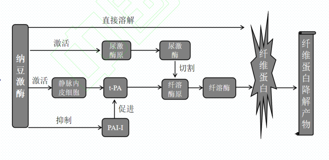 纳豆|闻着臭吃着香，纳豆为何令日本人欲罢不能？