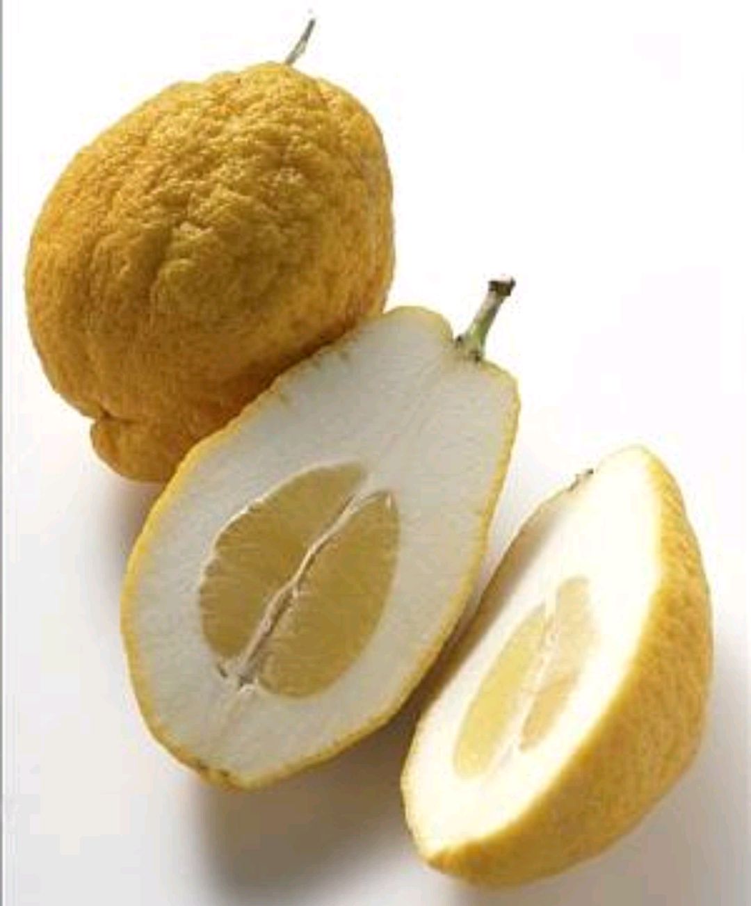 中药古今研究香橼