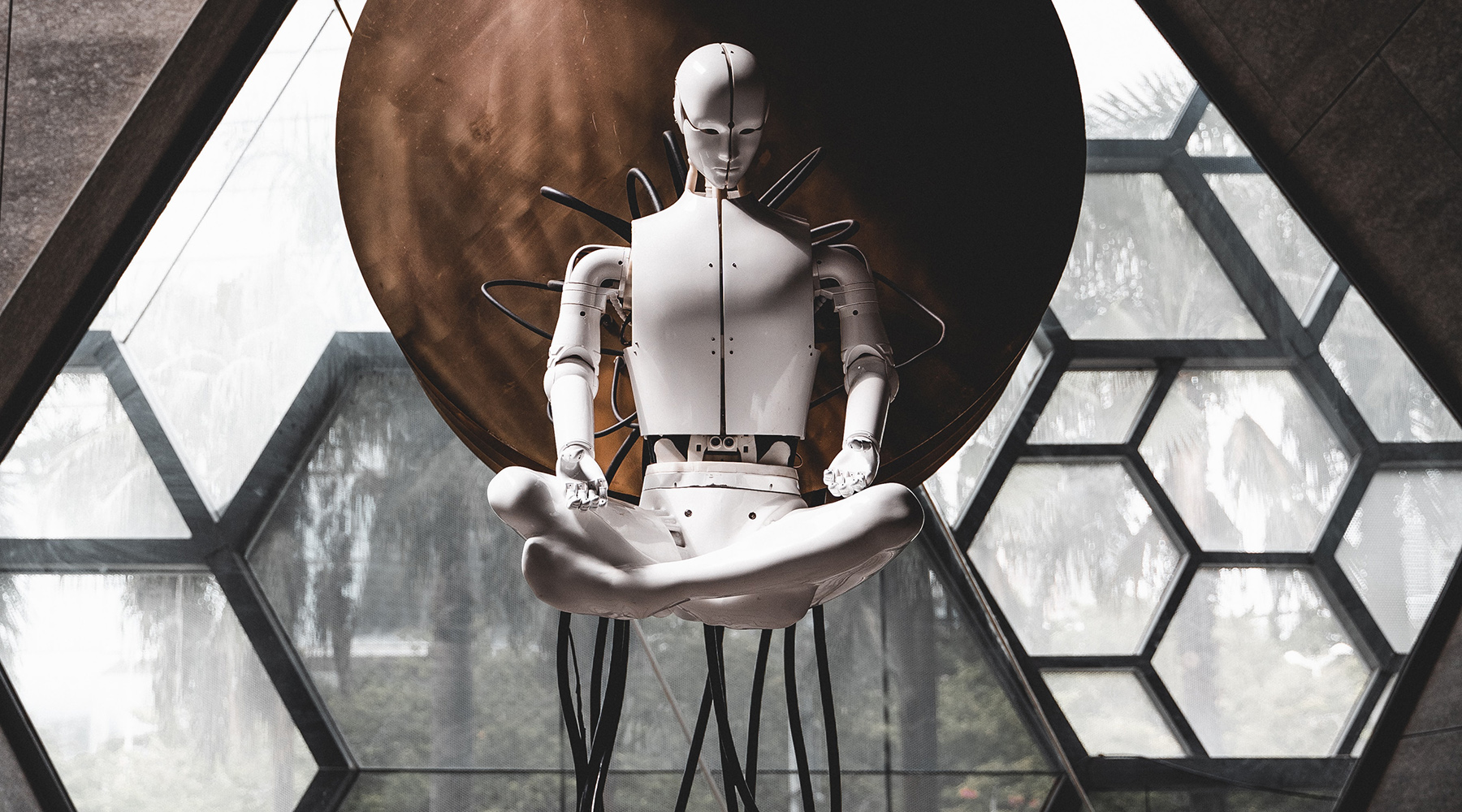 科学|百万年后人类会进化成什么样？脑袋变大脚趾消失？这些都是瞎扯