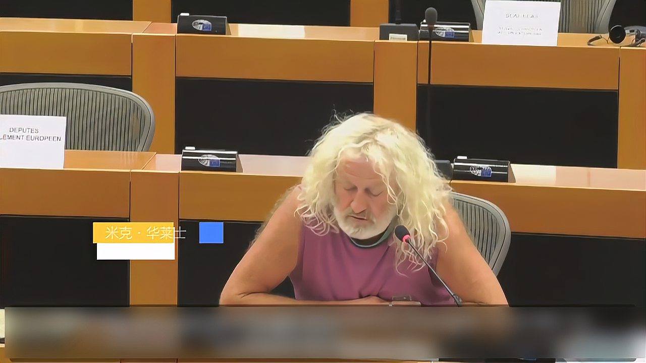 欧洲议会议员米克华莱士欧洲没有理由遏制中国
