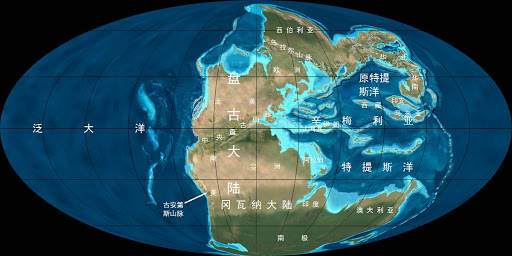 动物|为什么大多数雄性动物的排泄和交配共用一个器官？
