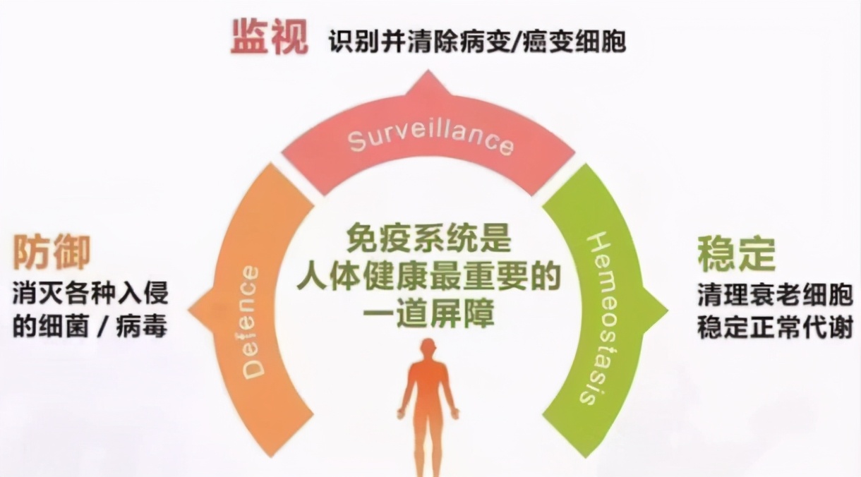 科学|人类进化比任何时候都快！到底是什么原因导致进化速度加快？