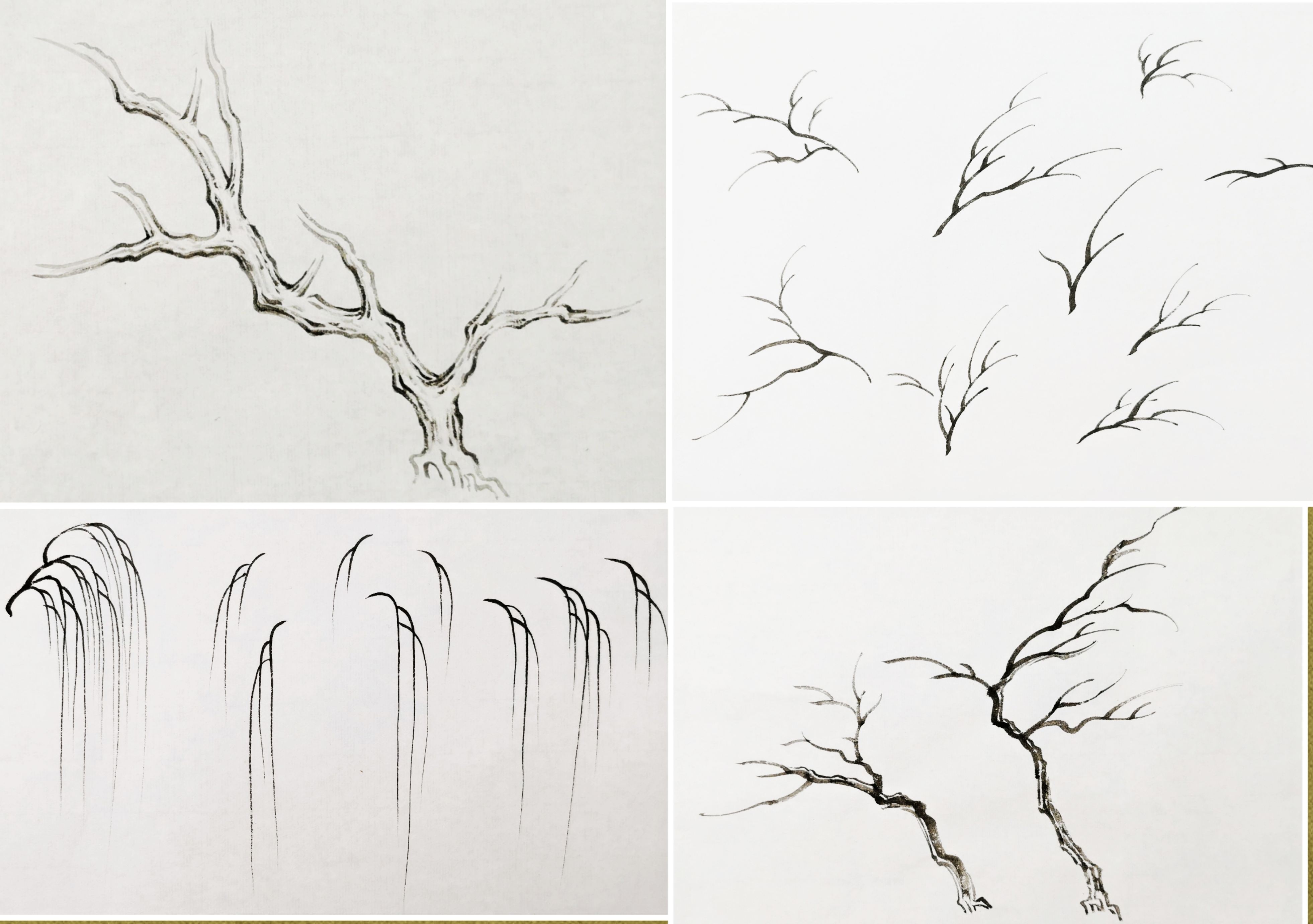 专栏  米小鹿山水特训班  五个单元100节课  我们一起学习山水画技法