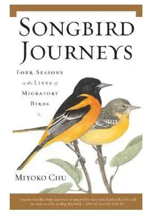 Songbird Journeys, Mikoyo Chu