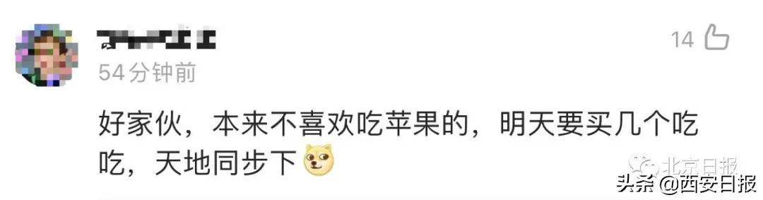 陕西苹果|骄傲！航天员吃的苹果来自咱陕西