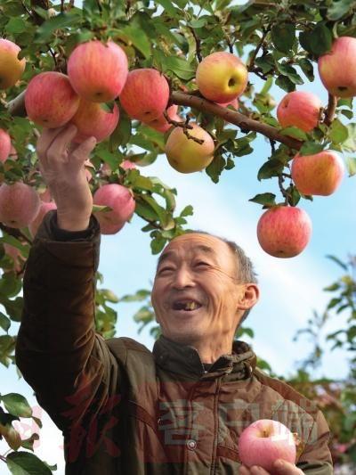 特色农业|三门峡：特色农业绽新颜“小特产”升级“大产业”