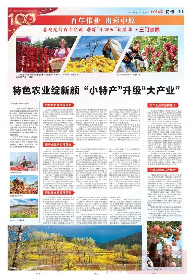 特色农业|三门峡：特色农业绽新颜“小特产”升级“大产业”