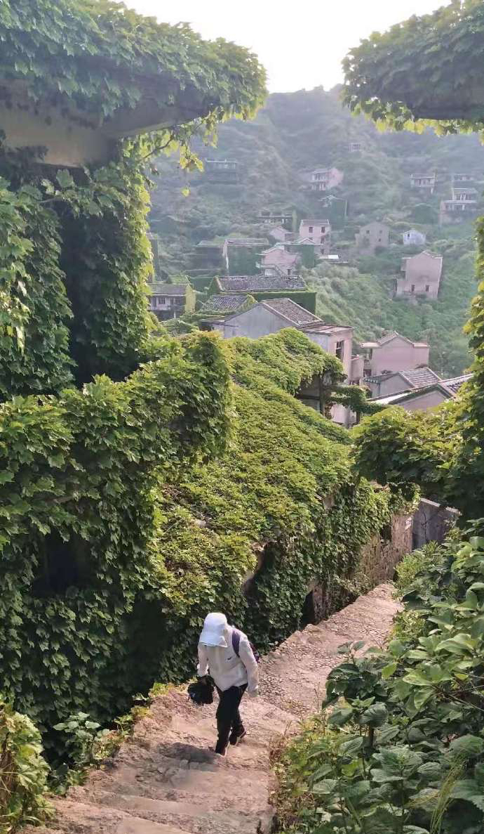 浙江舟山有一個無人村居住著3000多人90年代一夜之間就搬空了