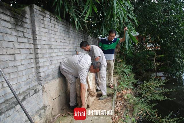 恐龙|四川自贡发现中国最小恐龙足迹，长10毫米比1角硬币还小