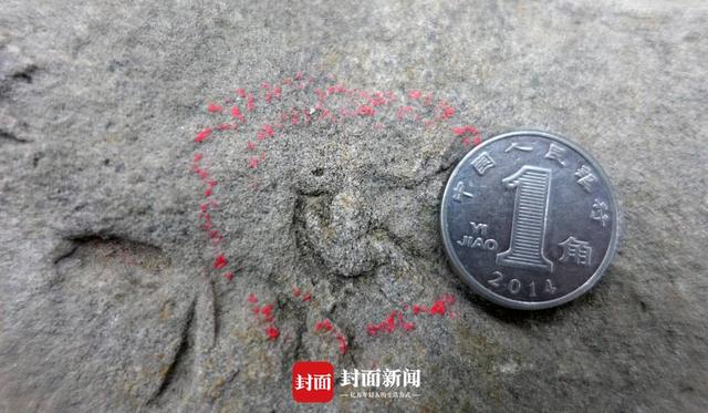 恐龙|四川自贡发现中国最小恐龙足迹，长10毫米比1角硬币还小