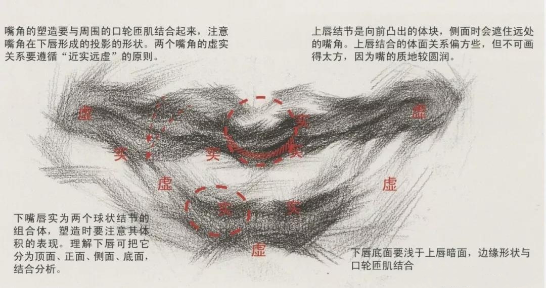 素描唇部如何画好这些要点要记牢