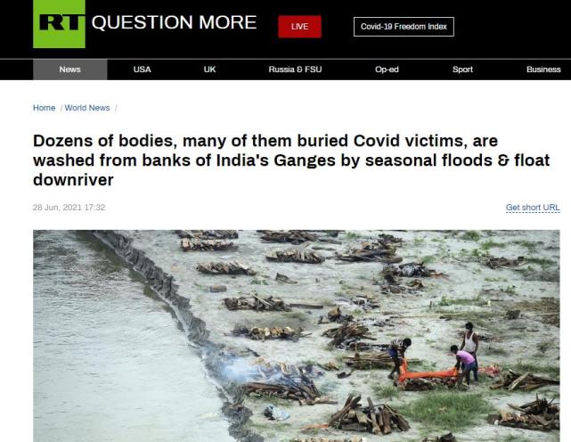 俄罗斯RT网站报道截图