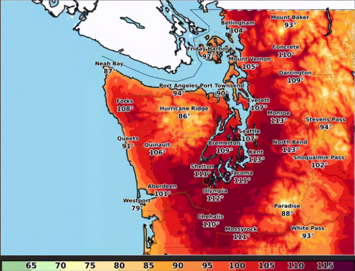 科学|48℃！超强热浪侵袭美国，爆发多起野火，人类再不行动就晚了