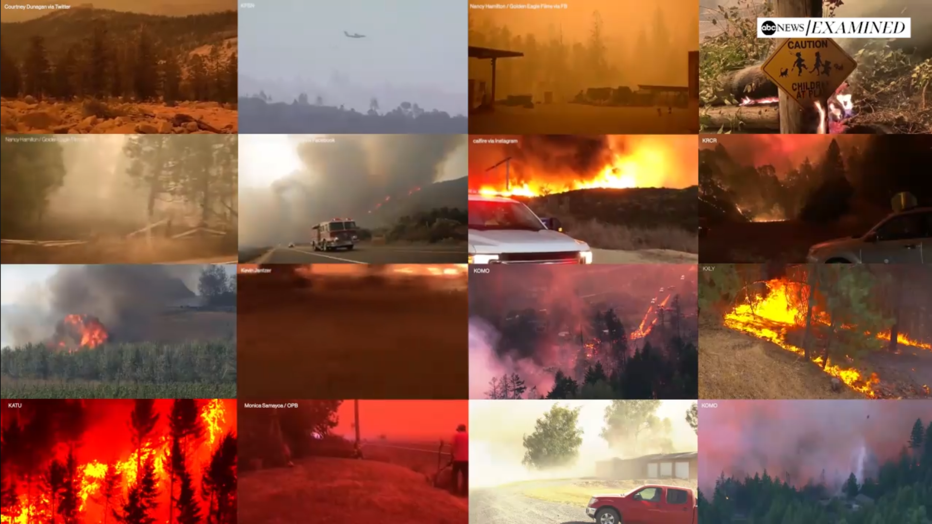 科学|48℃！超强热浪侵袭美国，爆发多起野火，人类再不行动就晚了