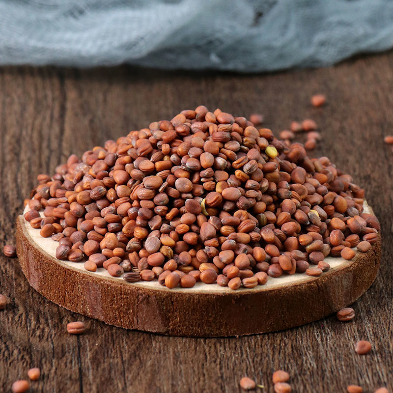 中药古今研究莱菔子