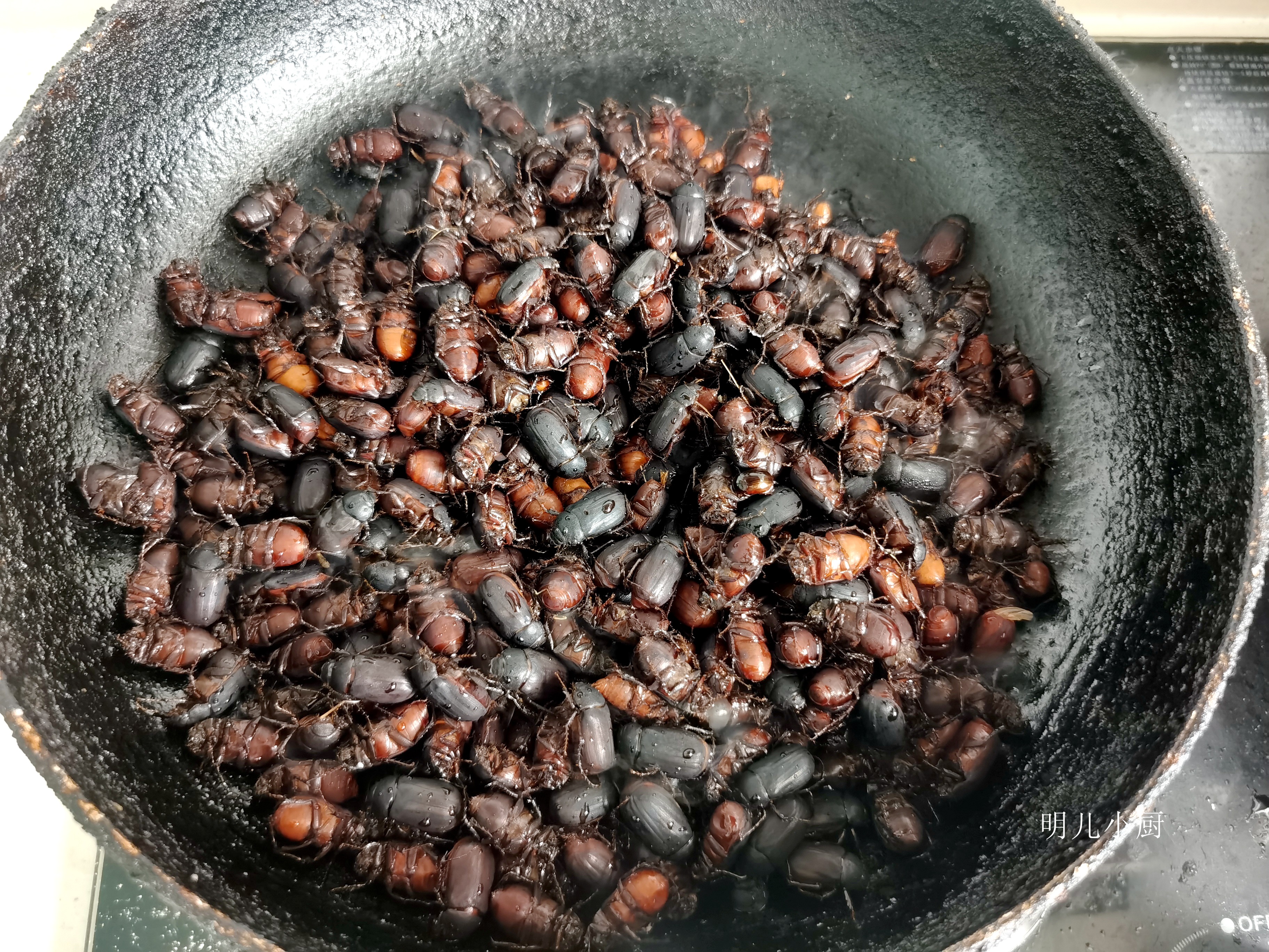 瞎撞子吃过吗一年只有这几天出现高蛋白低脂肪比知了猴香