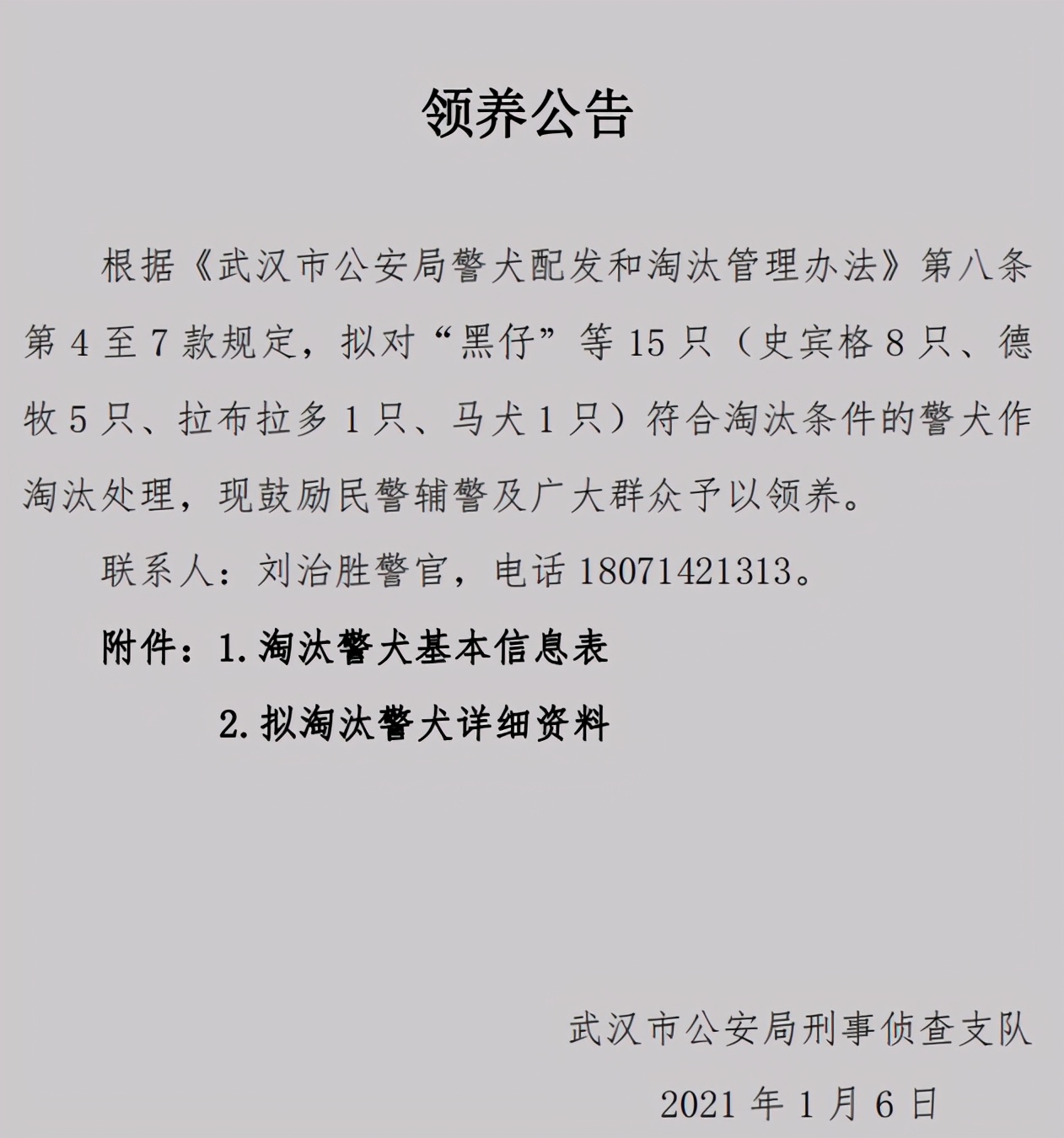 警犬|那些被淘汰的警犬，最后都去哪儿了