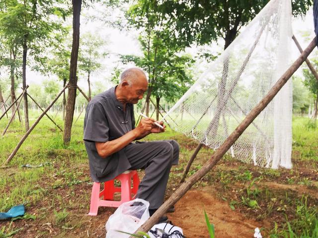 八旬老人在树林里织网老人风烛残年劳作不止