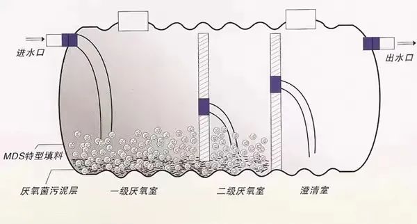 |一人一年就产生近300斤粪便，全球70亿人的屎都去哪儿了？