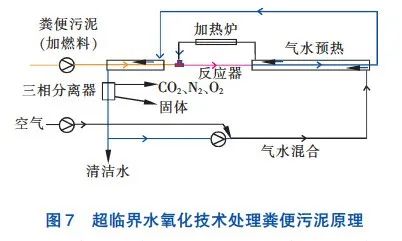 |一人一年就产生近300斤粪便，全球70亿人的屎都去哪儿了？