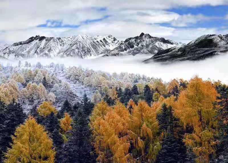 大美中华陈中摄影艺术作品展在穗展出