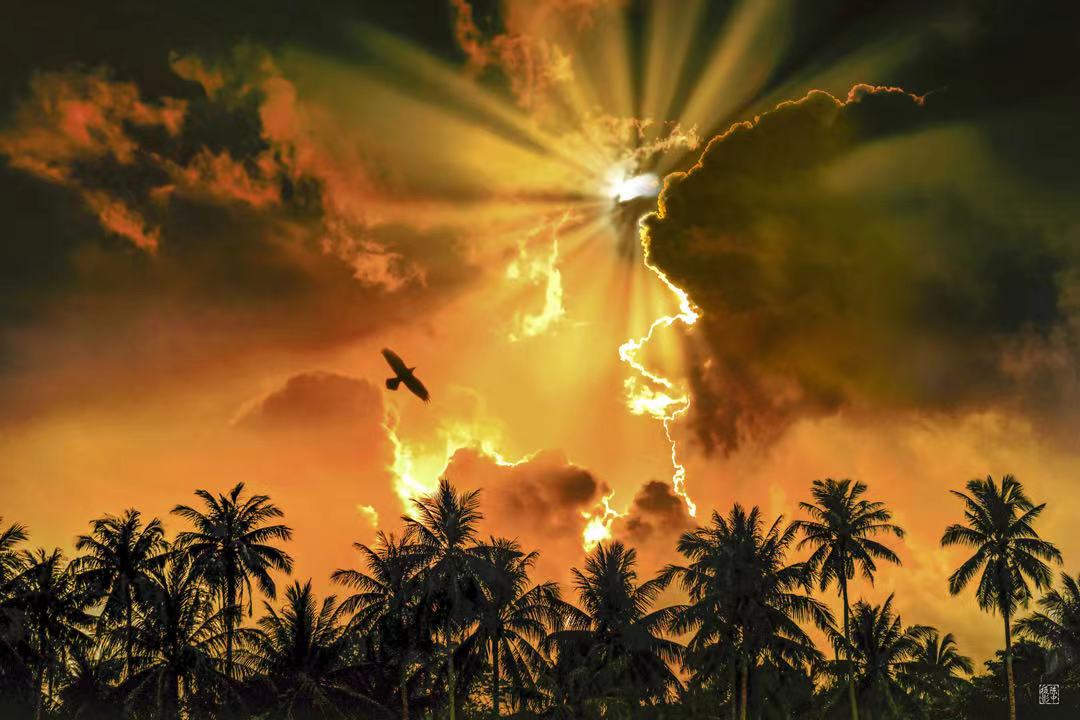 大美中华陈中摄影艺术作品展在穗展出