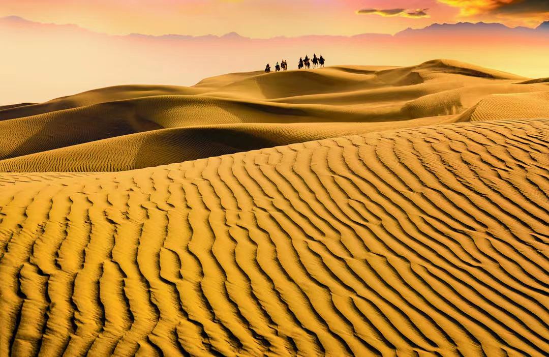 大美中华陈中摄影艺术作品展在穗展出