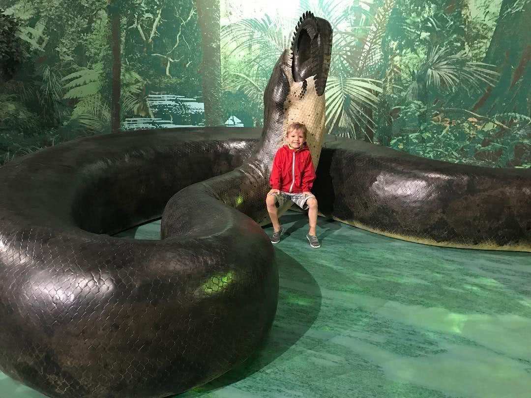 泰坦蟒|5600万年前，重达1吨的大蛇成食物链的顶端，形成原因或再次出现