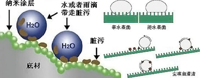 荷花种植|荷叶为什么不沾水？超高分辨率显微镜下，才知出淤泥而不染的原因