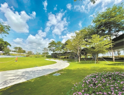 空闲绿地变身口袋公园