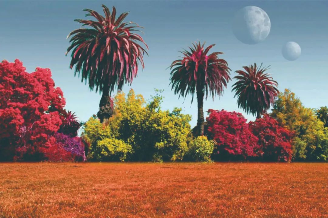 植物|外星球的植物可能是彩虹色的？